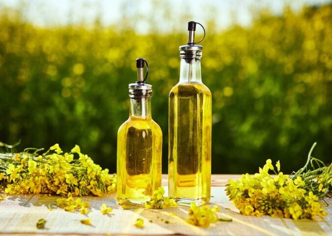 Photo shows two glass bottles of canola oil on a table alongside picked rapeseed flowers with a field in the background